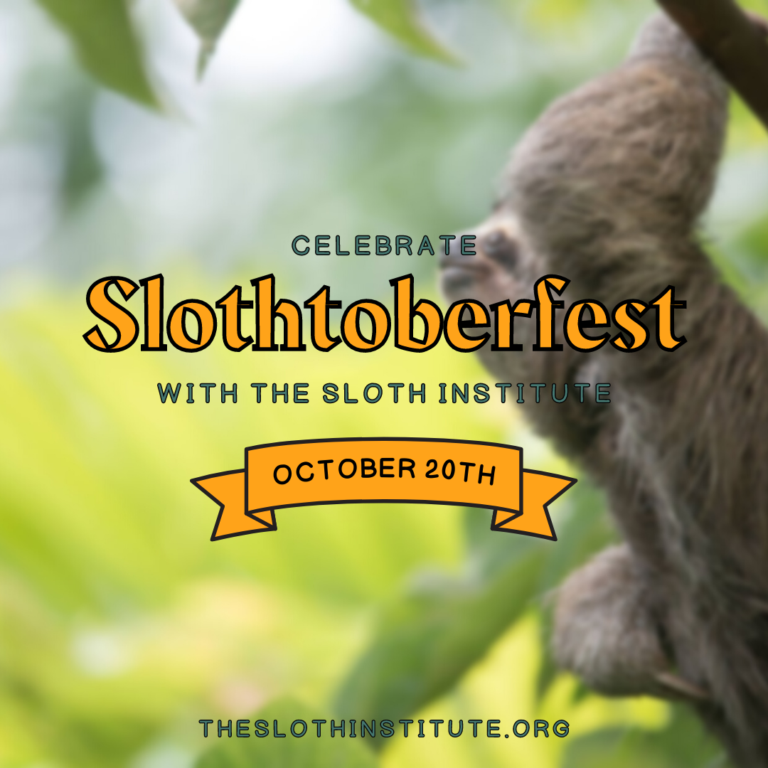 2025 SlothtoberFest with The Sloth Institute - logo